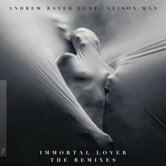 Andrew Bayer feat. Alison May - Immortal Lover (8Kays Remix)