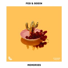 Feb & Bodin - Memories