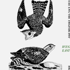 OM51 - Bill Nace & Jake Meginsky East / West [sample]