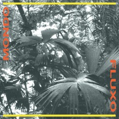 Mondo Fluxo - Episode 11 - December 19