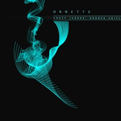 Ornette - Crazy (Cross Groove Edit) - 850k on Spotify <3