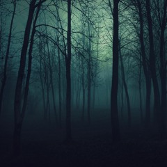 AUS220 - Taks 6 - Ambient Underscores - Wolf Creek Horror