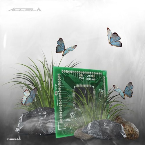 ACCELA
