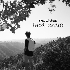 mookies (prod. pandrs)