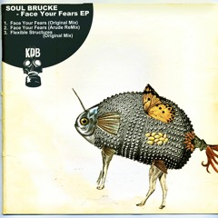 Soul Brucke - Face Your Fears (Arude Remix) [KDB170D]