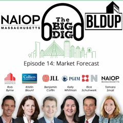 Big Dig Podcast Episode 14 - Market Forecast