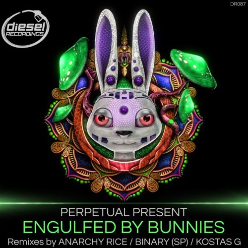 DR087 Perpetual Present - Engulfed By Bunnies (Binary (SP) Remix)