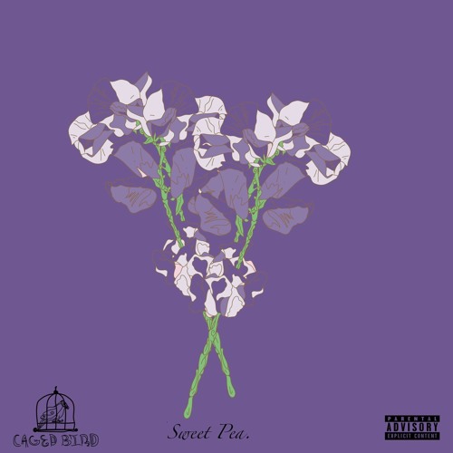 Deadpoet. - DON'T SMOKE ENOUGH (prod. Colton Craig)
