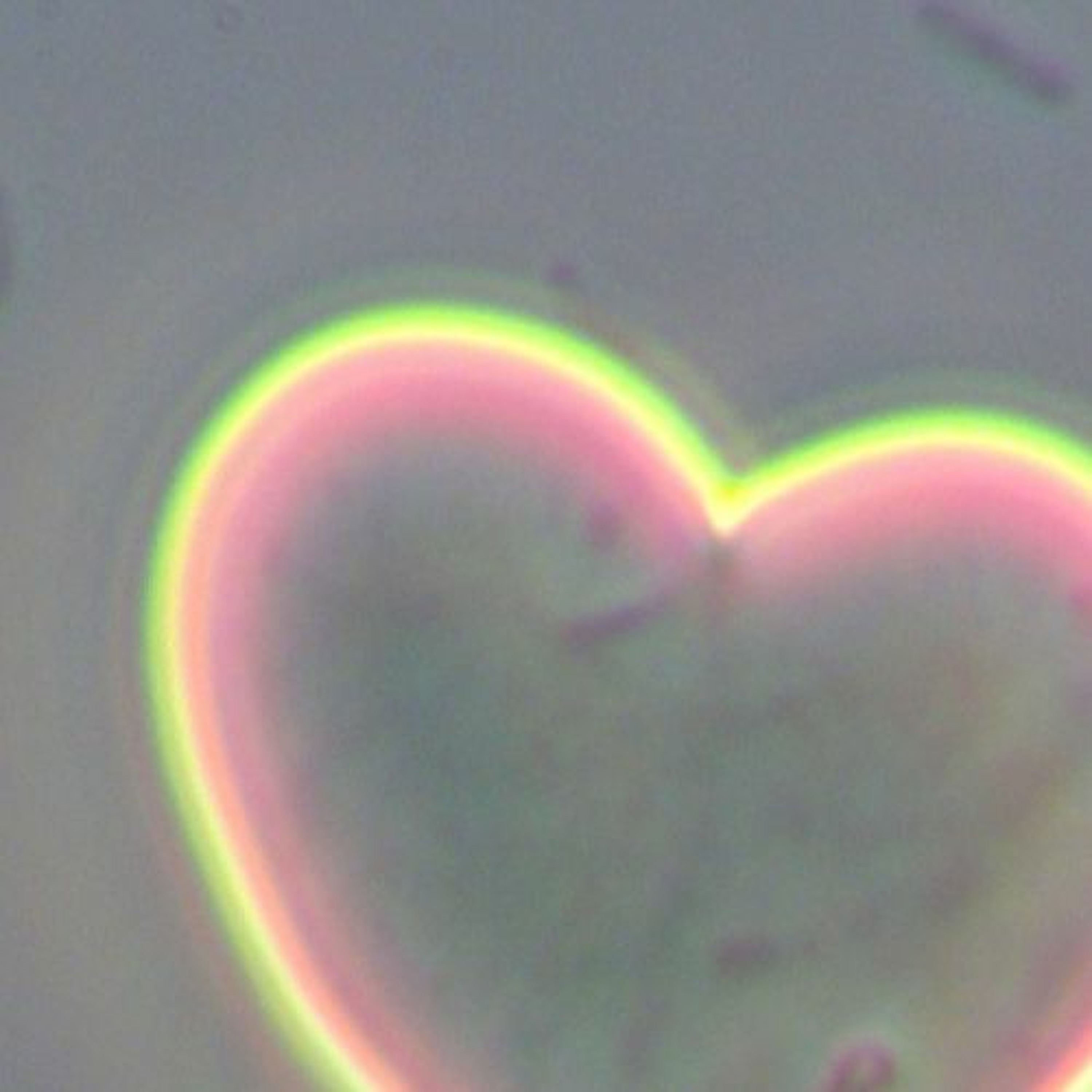 Lappuliisa\'s Soundcloud feed