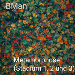 Metamorphose (Stadium 1, 2 und 3) (Short)