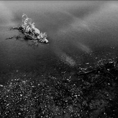 Su ümber ja su sees/ Around you and inside you (2019)