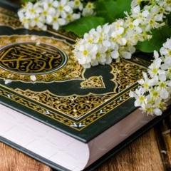 01 أخلاق حملة القرآن | مدخل حول أخلاق الحملة، وتعريف بالكتاب | محمد مصطفى عبد المجيد