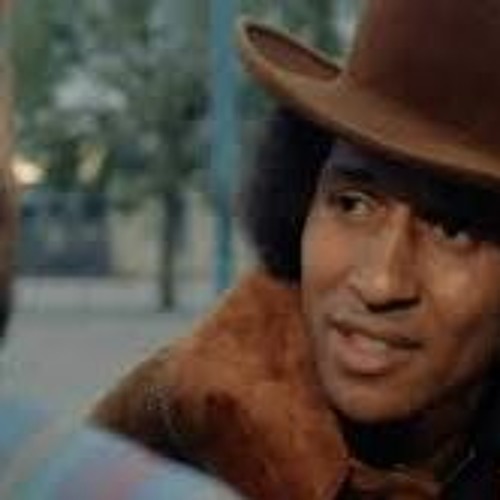 Himilaya x HOT60YGRAY