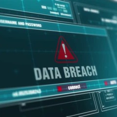 Plead 5th - z6 (Freestyle)