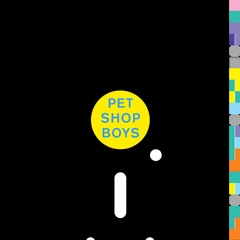 PET SHOP BOYS - WE’RE THE PET SHOP BOYS (PAUL MANNING PALATINE MIX)