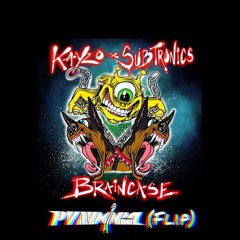 Kayzo x Subtronics - Braincase (Pvndora Flip)[FREE DL]