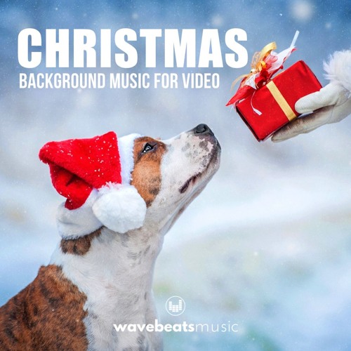 background music for dog video