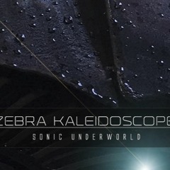 Zebra Kaleidoscope