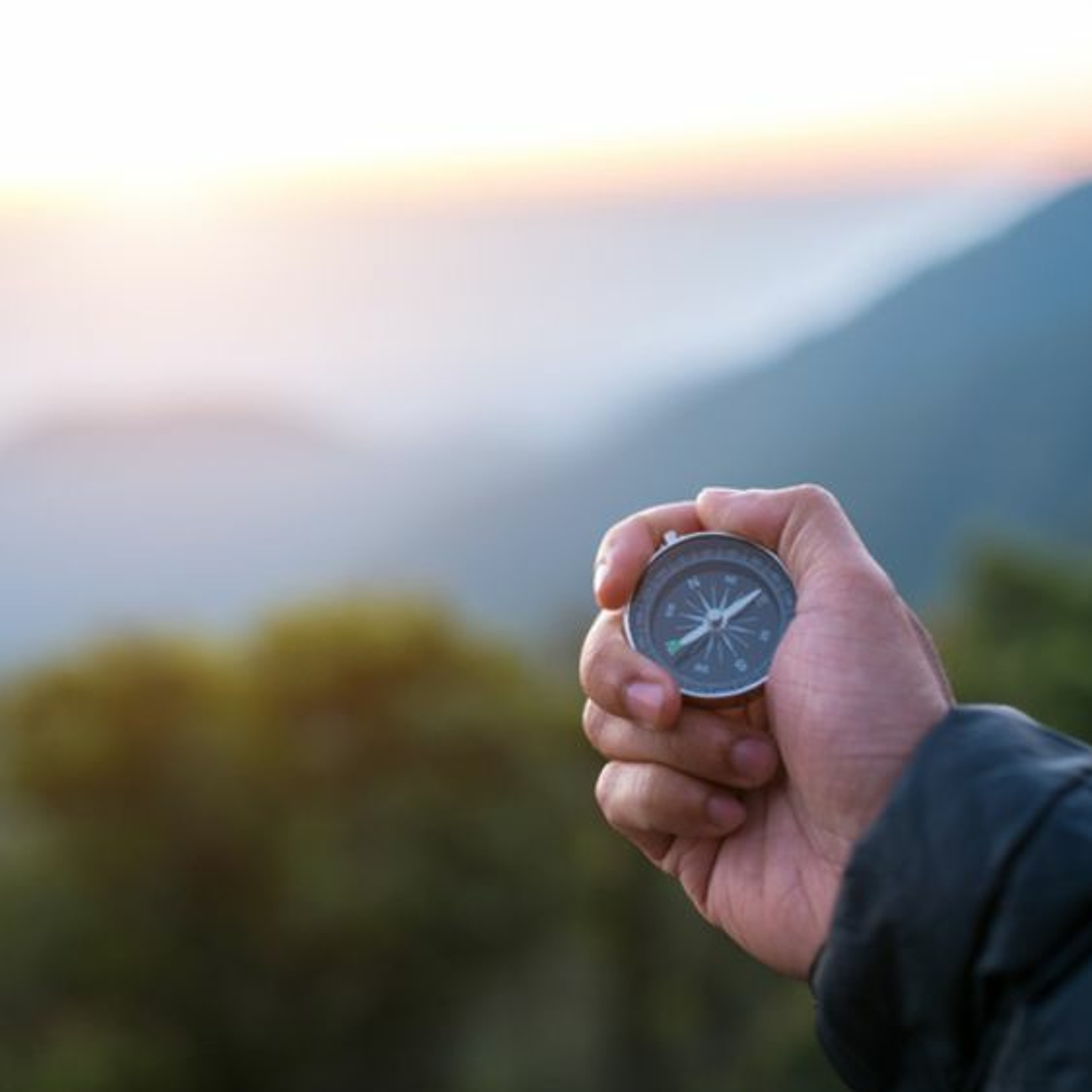Secrets of Data Analytics Leaders