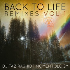 DJ Taz Rashid & Momentology - Bae (Entheo Remix)
