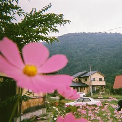 花(Flower)