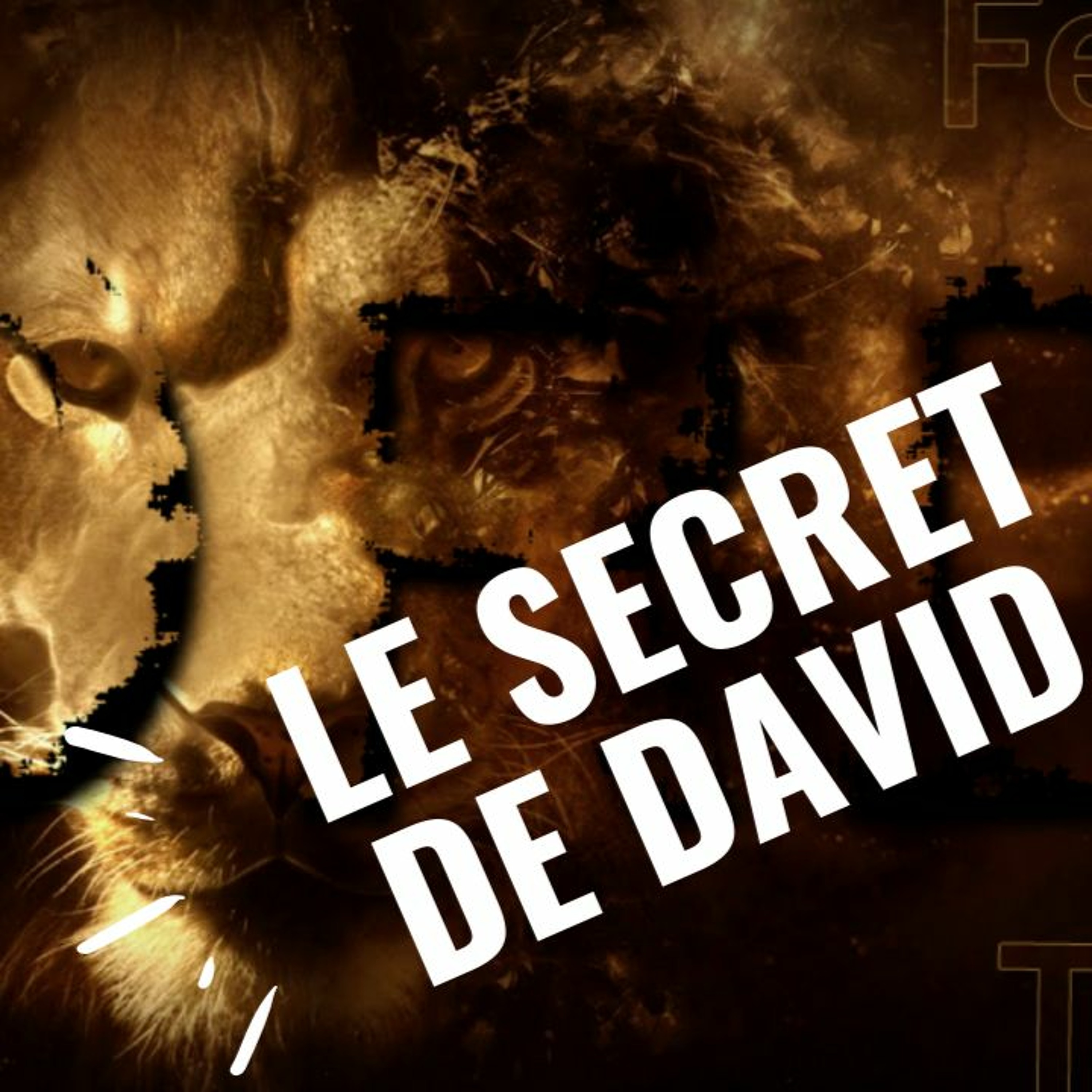 Le secret de David episode artwork