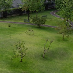 Mabe Fratti- El Sol Sigue Ahí (El Sol Brilló - No Tenía Alternativa)