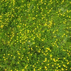 Symphony Ft. Zara Larsson (remix)