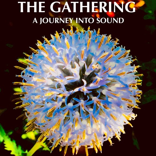 The Gathering Interviews- Tuesday Velasco