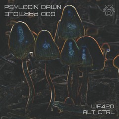 Psilocin Dawn - God Particle .:FREE FULL DOWNLOAD:.