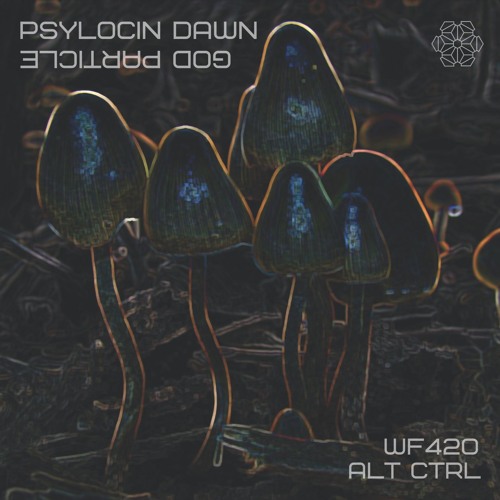 Psilocin Dawn - God Particle .:FREE FULL DOWNLOAD:.