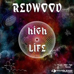 05. Muzical Spaceship - Red Wood