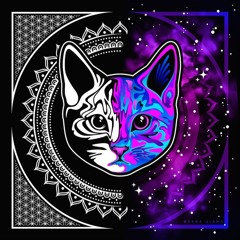 Shanti Vs Space Cat - Toki Doki
