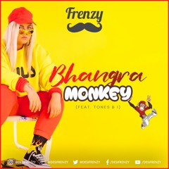 DJ Frenzy - Bhangra Monkey