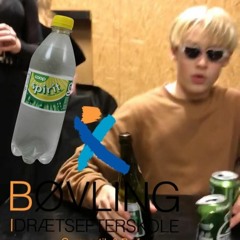 2 uger på Bøvling - Dakmix