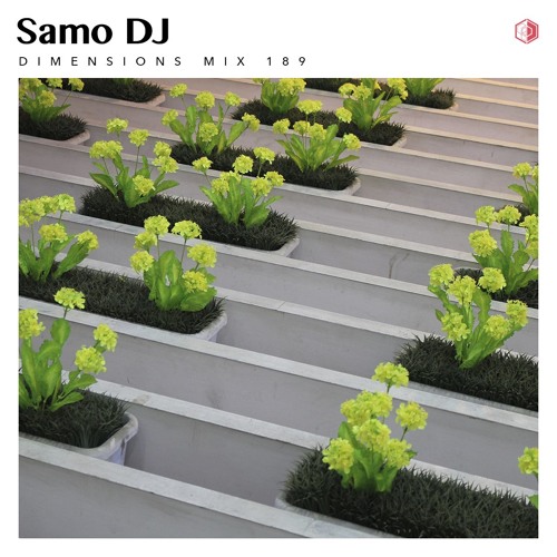 DIM189 - Samo DJ