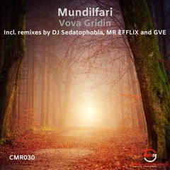 Vova Gridin - Mundilfari (MR EFFLIX Remix) [Snippet]