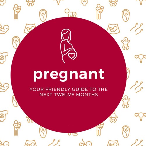 Pregnant - Your Friendly Guide to the Next Twelve Months