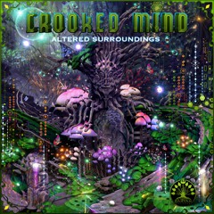1. Crooked Mind   Altered Surrondings 152