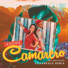 Andra & Descemer Bueno - Camarero | Stefanescu Remix