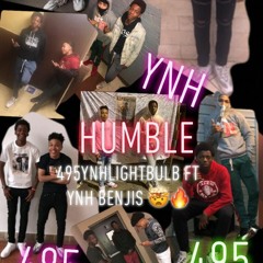Humble Ft 495YnhLightbulb