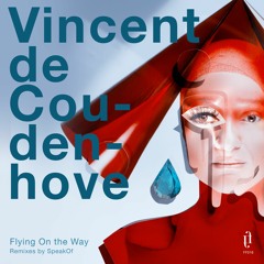 Vincent De Coudenhove - The Rage Song [False Face Music] FF018