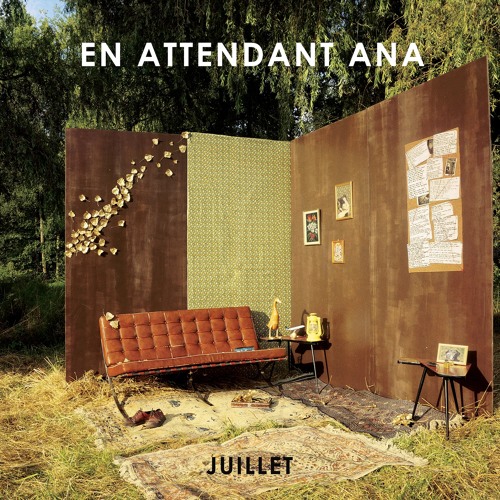 En Attendant Ana "Do You Understand?" (Trouble in Mind Records)