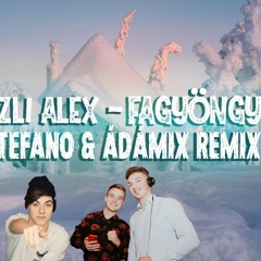 Venczli Alex - Fagyöngy ( Don Stefano & Ádámix Remix )