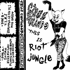 This is Riot Jungle Side B