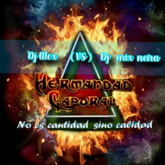Ɗנ мιx Ɲєιяα  ( ƲS )  Ɗנ αƖєx  ~ нєrмαท∂α∂ cαρσrαℓ ~ ( єℓ rєgrєsσ )