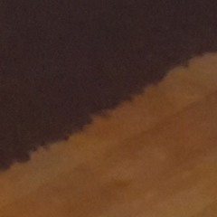 Four Diatonic Harmonicas In Different Keys