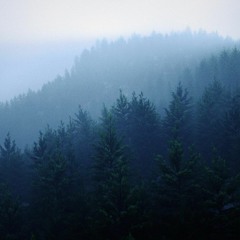 Arlow - Bear Dub (Forthcoming None60)