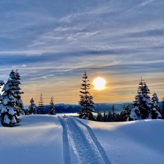 UFOs en invierno...(2019/2020)
