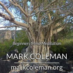 Mindfulness in Nature